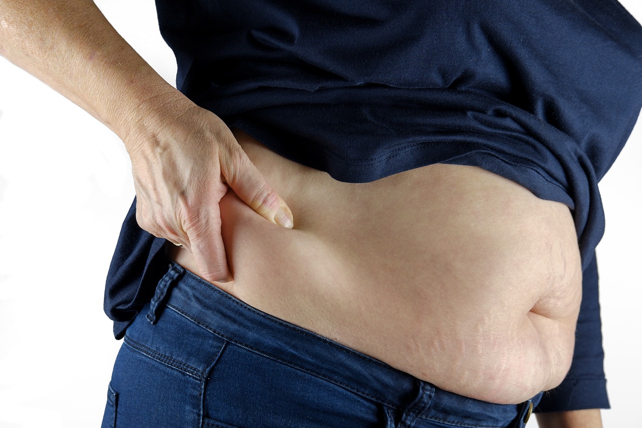 Philosophy’s Influence on Obesity Research